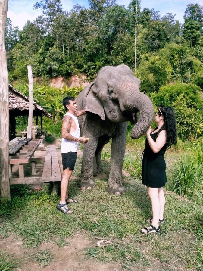 Funky Monkey Cnx - Guesthouse Chiang Mai Ngoại thất bức ảnh